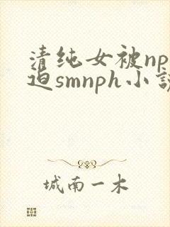 清纯女被np强迫smnph小说