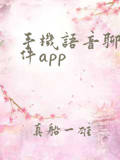 手机语音聊天软件app