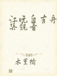 江晚自有舟渡全集观看