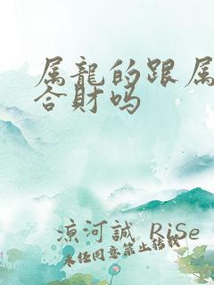 属龙的跟属鼠的合财吗