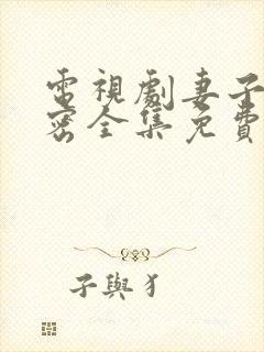 电视剧妻子的秘密全集免费观看