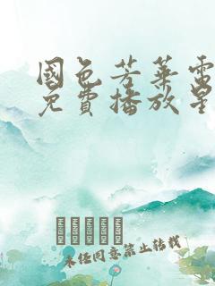 国色芳华电视剧免费播放星辰影视下载