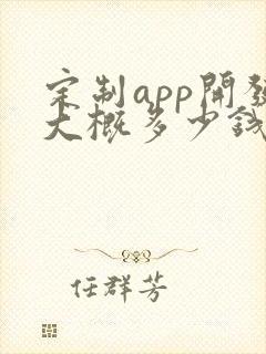定制app开发大概多少钱