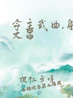 命主武曲,身主文昌