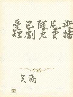 爱已随风逝沈凝短剧免费播放