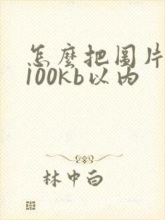 怎么把图片压缩100kb以内