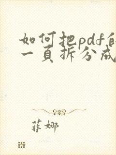 如何把pdf的一页拆分成两页