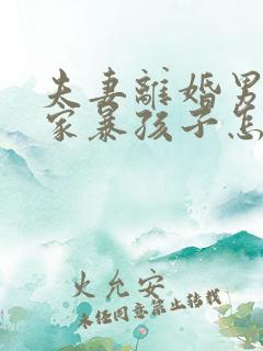 夫妻离婚男方有家暴孩子怎么判