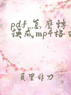 pdf 怎么转换成mp4格式的文件