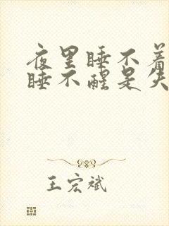 夜里睡不着白天睡不醒是失眠吗