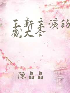 王新主演的电视剧大全