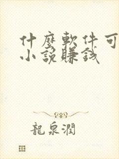 什么软件可以写小说赚钱