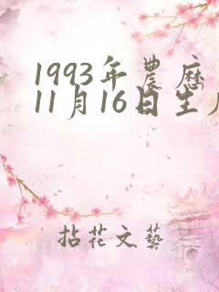 1993年农历11月16日生辰八字