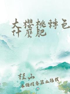 大樱桃转色期用什么肥