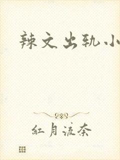 辣文出轨小说