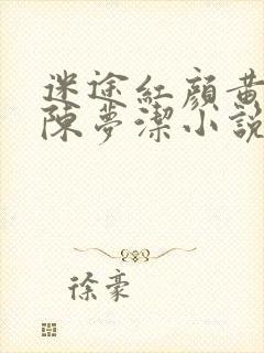迷途红颜黄杰,陈梦洁小说