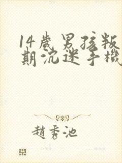 14岁男孩叛逆期沉迷手机怎么管教