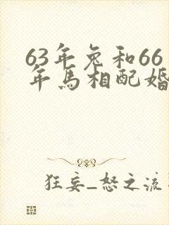 63年兔和66年马相配婚姻如何