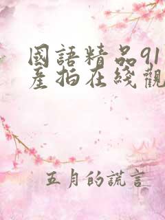国语精品91自产拍在线观看二区
