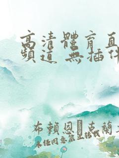 高清体育直播2频道 无插件直播