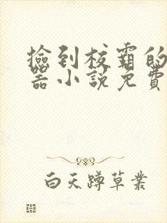 捡到校霸的遥控器小说免费阅读