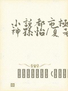 小说都市极品医神孙怡/夏若雪离线下载