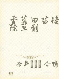 香菜田苗后阔叶除草剂