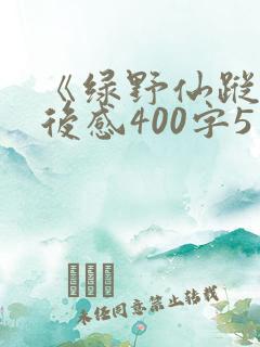 《绿野仙踪》读后感400字5篇