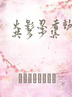 火影忍者动画一共多少集