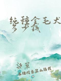 纯种金毛犬小狗多少钱