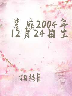 农历2004年12月24日生辰八字