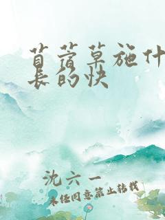 苜蓿草施什么肥长的快