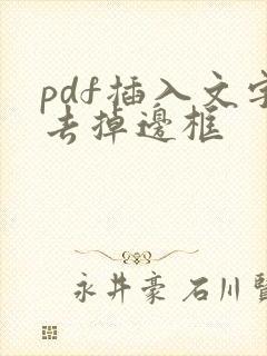 pdf插入文字去掉边框