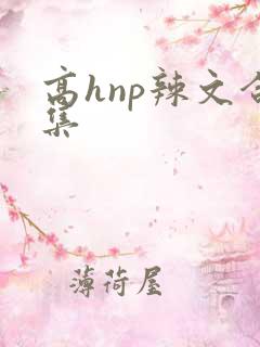 高hnp辣文合集