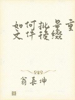 如何批量重命名文件后缀