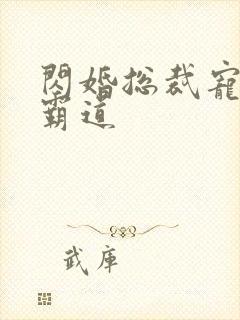闪婚总裁宠妻太霸道