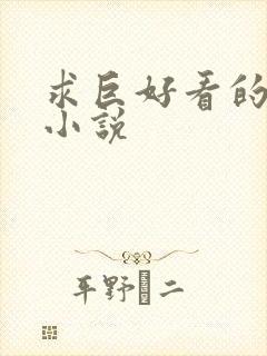 求巨好看的言情小说