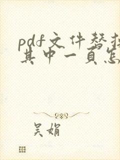 pdf文件替换其中一页怎么弄