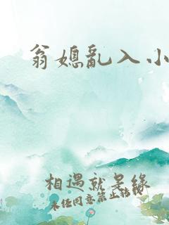 翁媳乱入小说