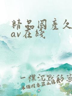 精品国产久久久av在线