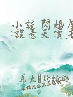 小说 闪婚厚爱:误惹天价老公