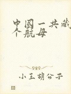 中国一共藏了几个航母