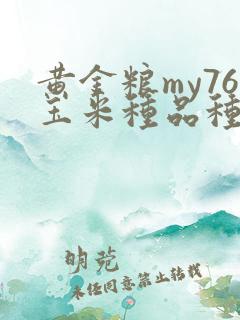 黄金粮my76玉米种品种简介