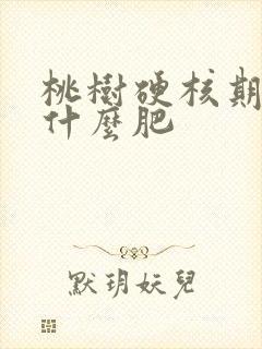 桃树硬核期该施什么肥
