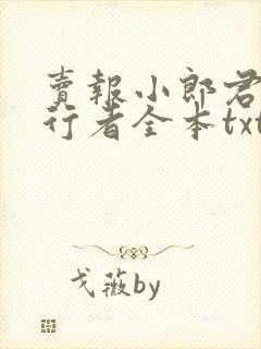 卖报小郎君灵境行者全本txt下载