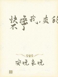 快操我,爽的受不了