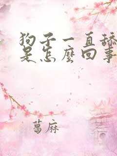 狗子一直舔爪子是怎么回事