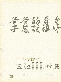 爸爸的哥哥的儿子应该称呼什么
