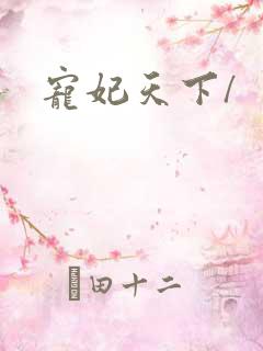 宠妃天下/