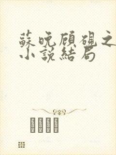 苏晚顾砚之原著小说结局